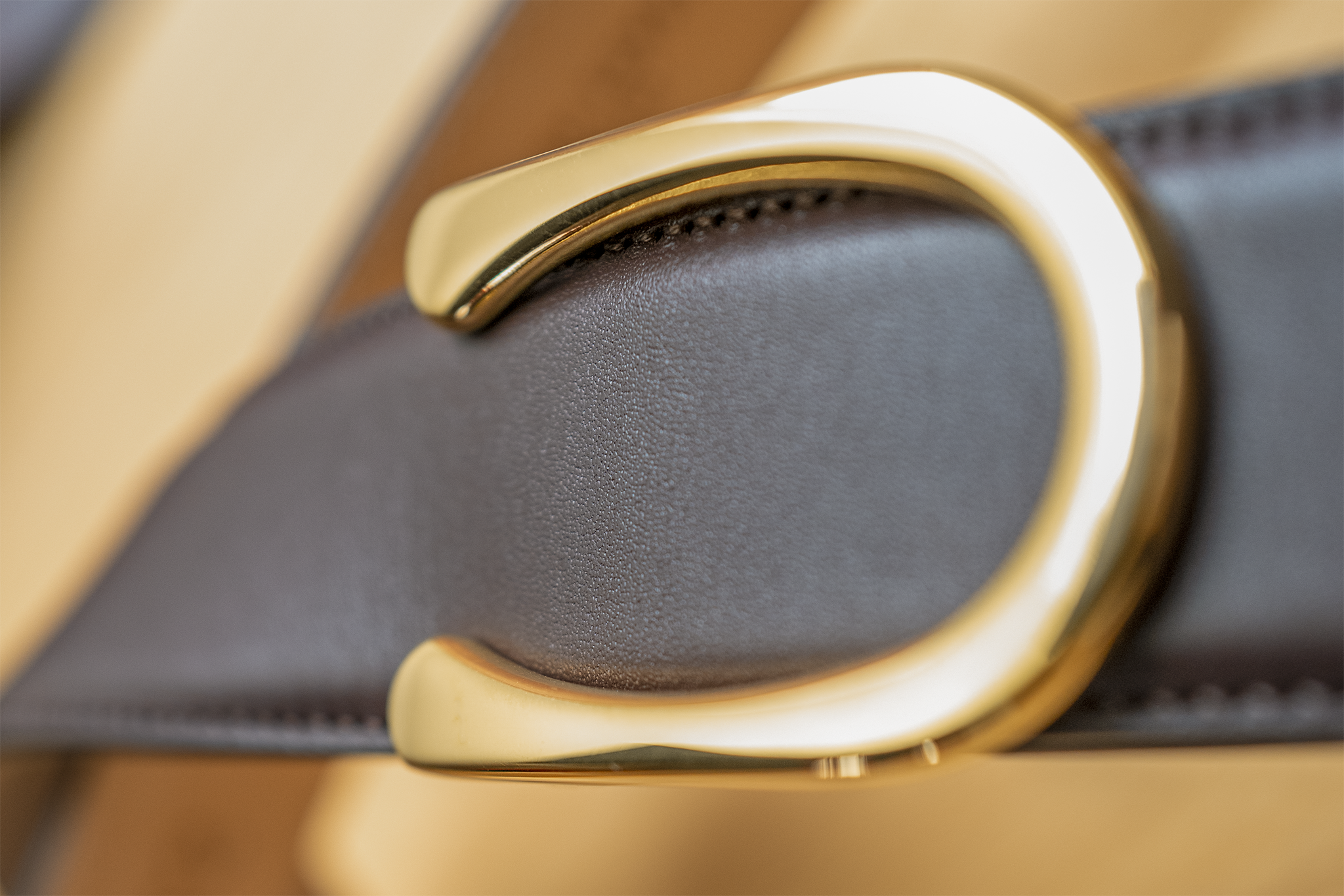 Close up of a Goldfels Belt.