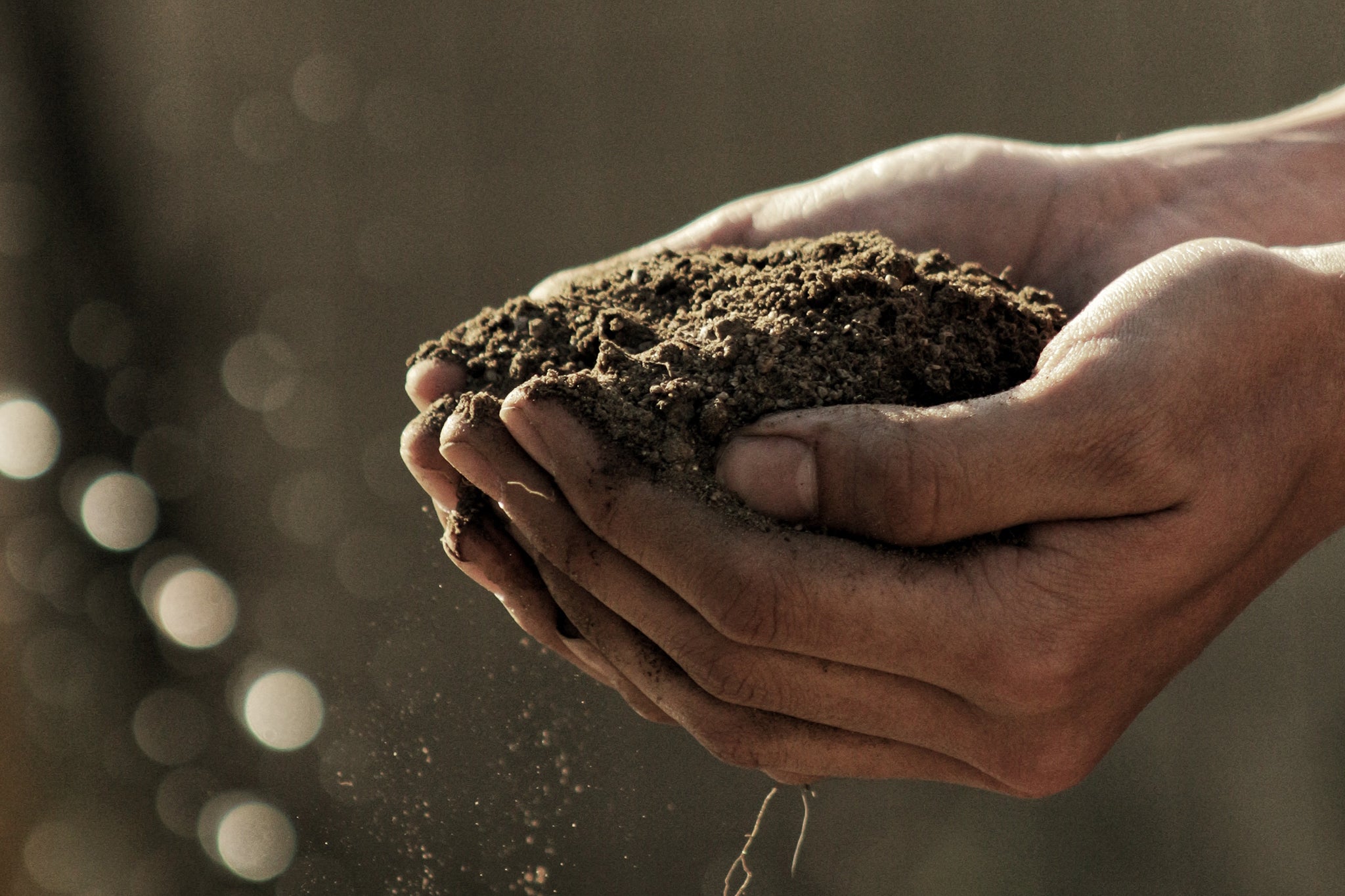 A person holds a small pile of soil in hands.