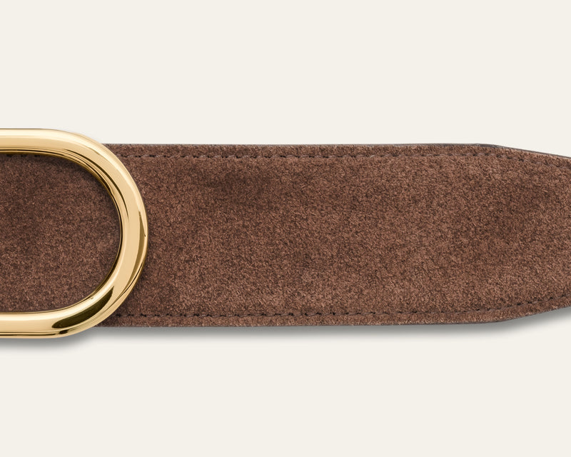 Signature Belt Front